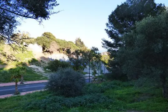 Image 7 thumb