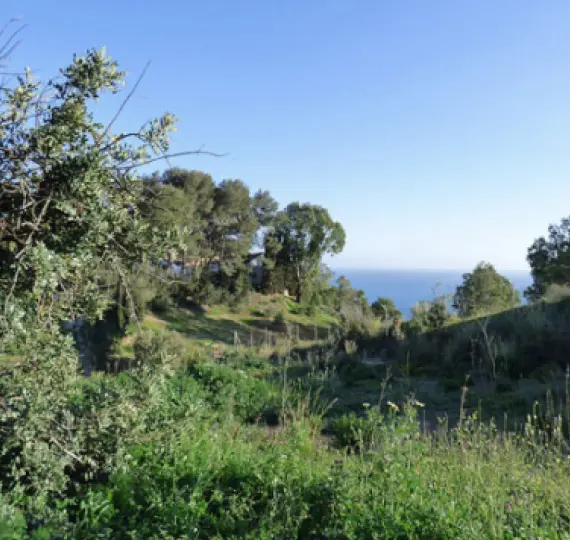 Продажа  жилого участка в Benalmadena Pueblo