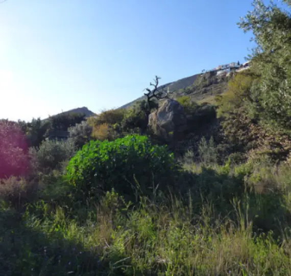 Продажа  жилого участка в Benalmadena Pueblo