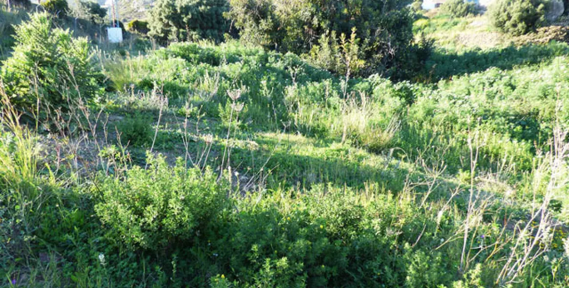 Продажа  жилого участка в Benalmadena Pueblo 9