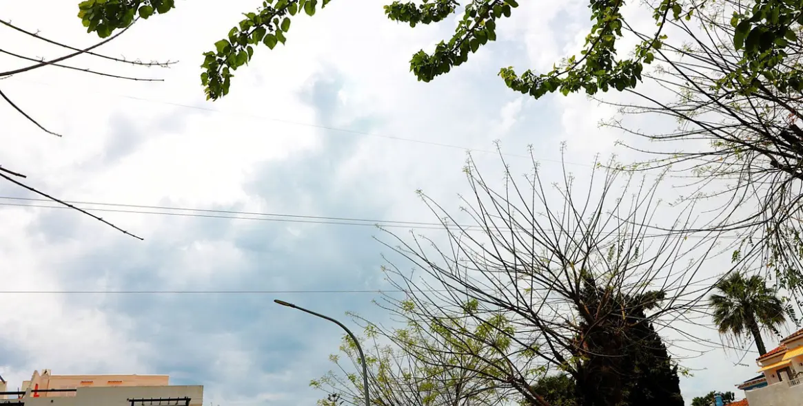 Sale of penthouse duplex in Bel Air 53