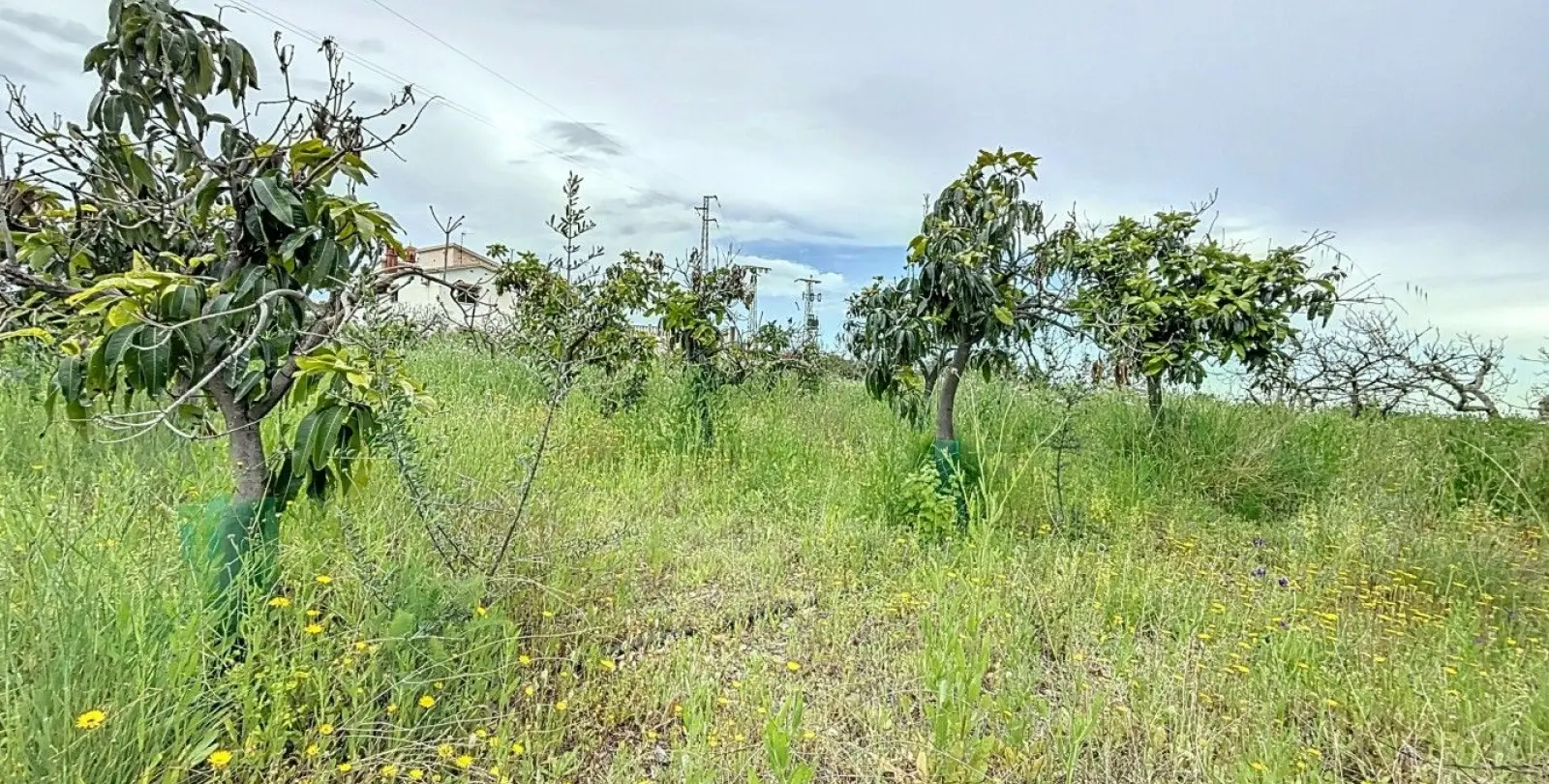 Venta de villa independiente en Chilches 50