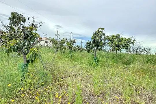 Image 50 thumb