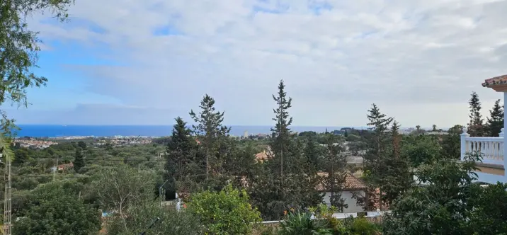 Sale of detached villa in Churriana 1