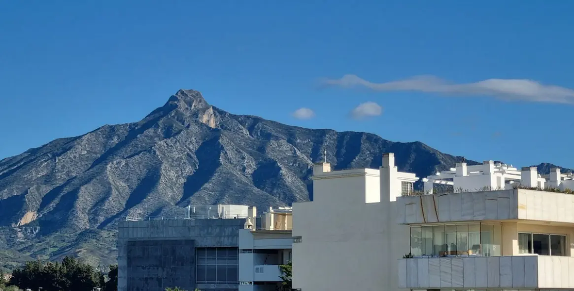 Sale of middle floor apartment in Puerto Banús 8