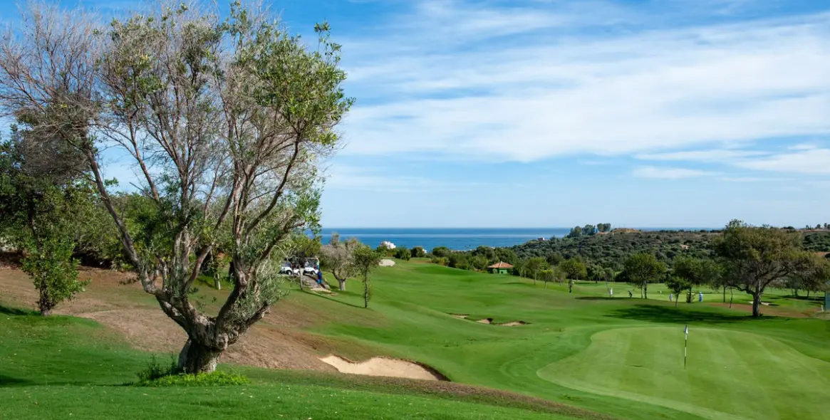 Продажа пентхауса в Estepona 23