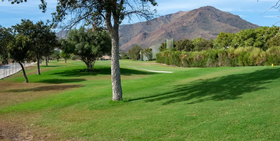 Продажа пентхауса в Estepona 24