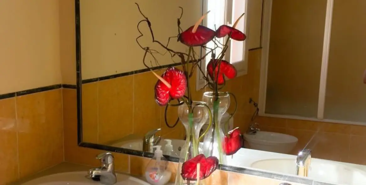 Продажа дома на две семьи в Estepona 24