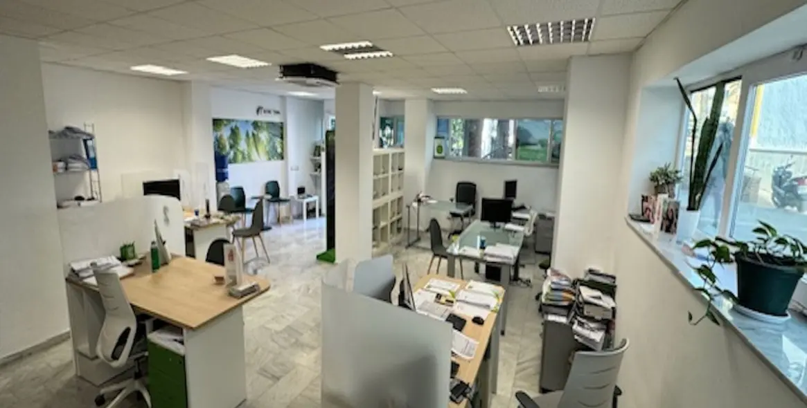 Sale of commercial premises in San Pedro de Alcántara 21