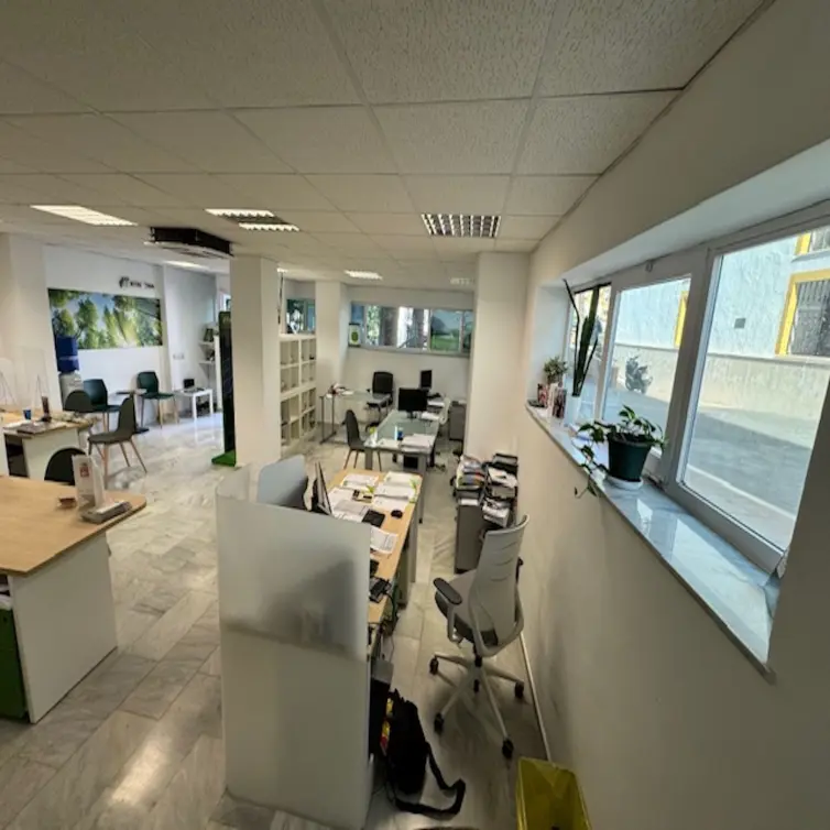 Sale of commercial premises in San Pedro de Alcántara