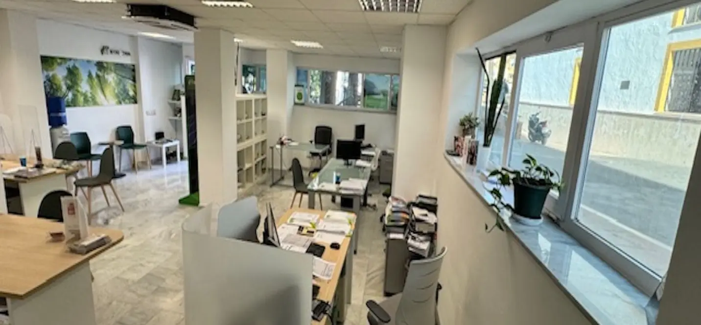 Sale of commercial premises in San Pedro de Alcántara 1