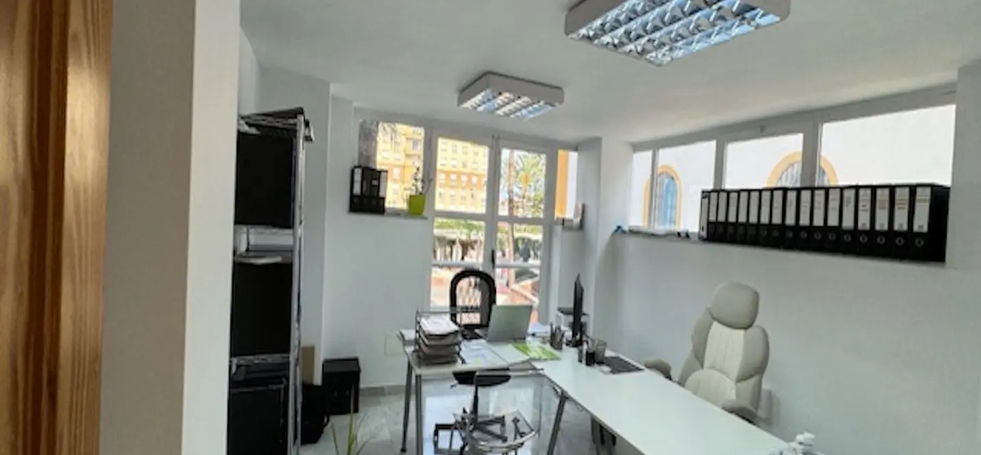 Sale of commercial premises in San Pedro de Alcántara 4
