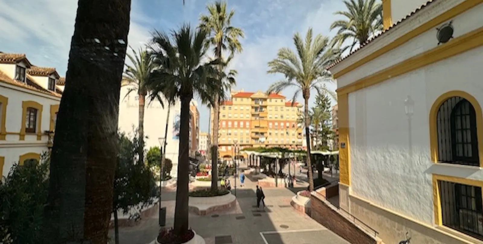 Sale of commercial premises in San Pedro de Alcántara 6
