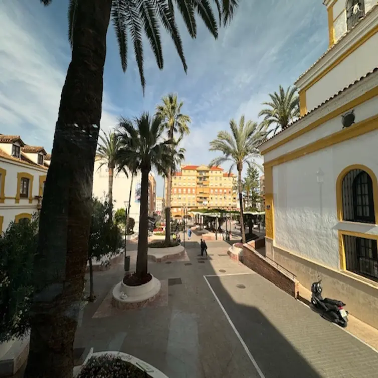 Sale of commercial premises in San Pedro de Alcántara