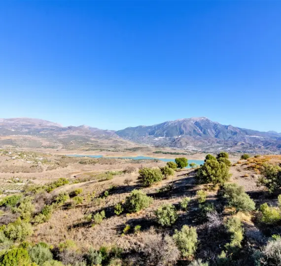 Detached villa R4208701