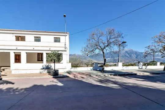 Image 4 thumb