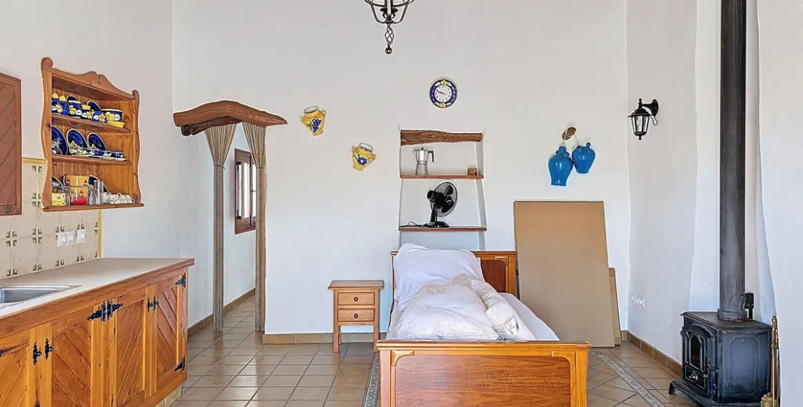 Sale of detached villa in Sedella 44