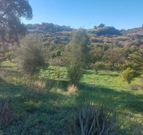 Venta de finca - cortijo en Estepona