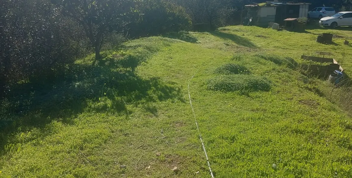 Продажа финки в Estepona 6