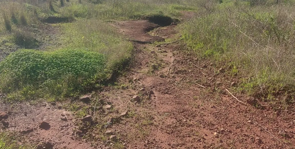 Продажа финки в Estepona 12