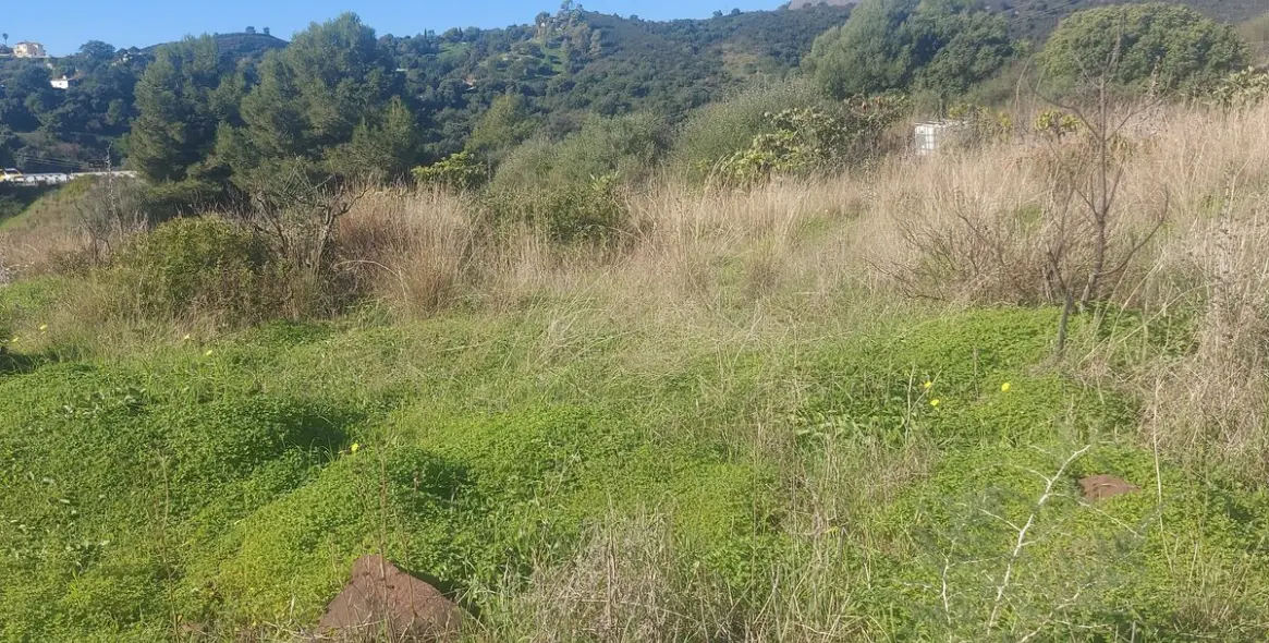 Продажа финки в Estepona 13