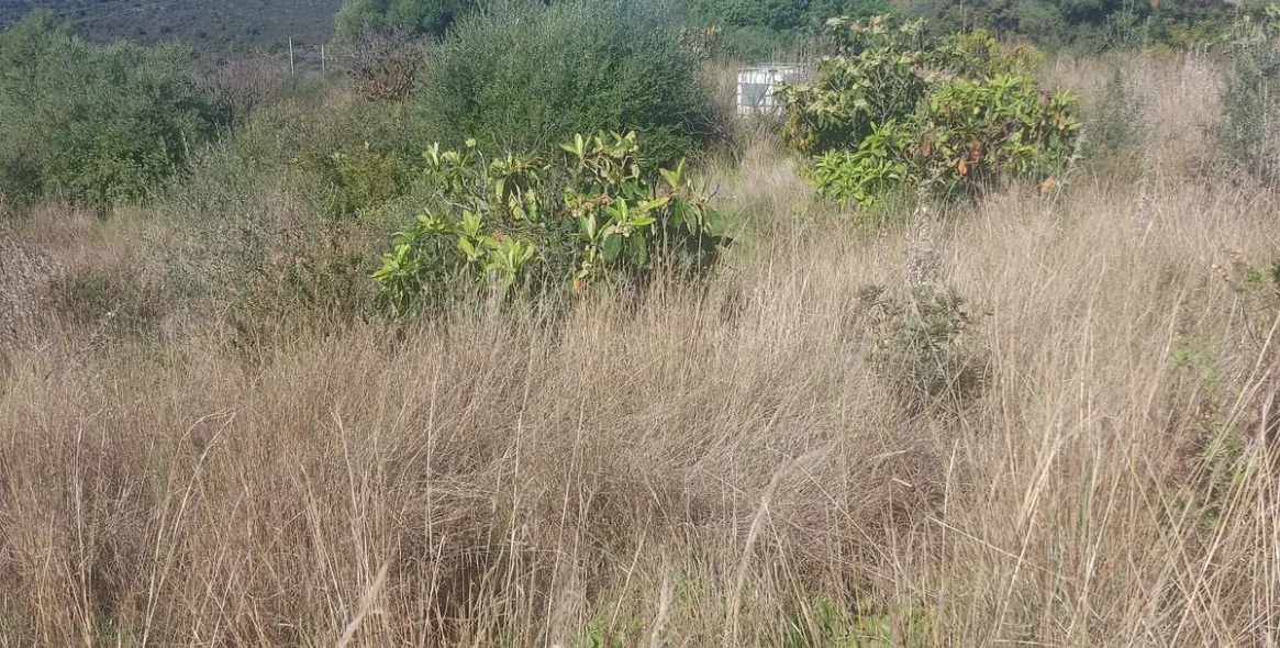 Продажа финки в Estepona 15