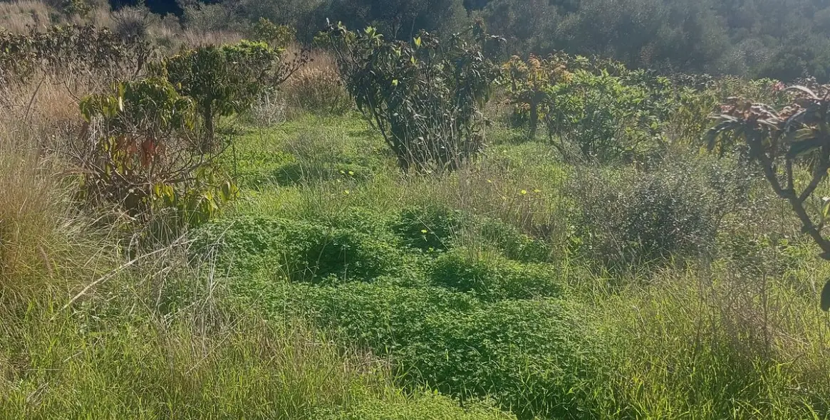 Продажа финки в Estepona 16