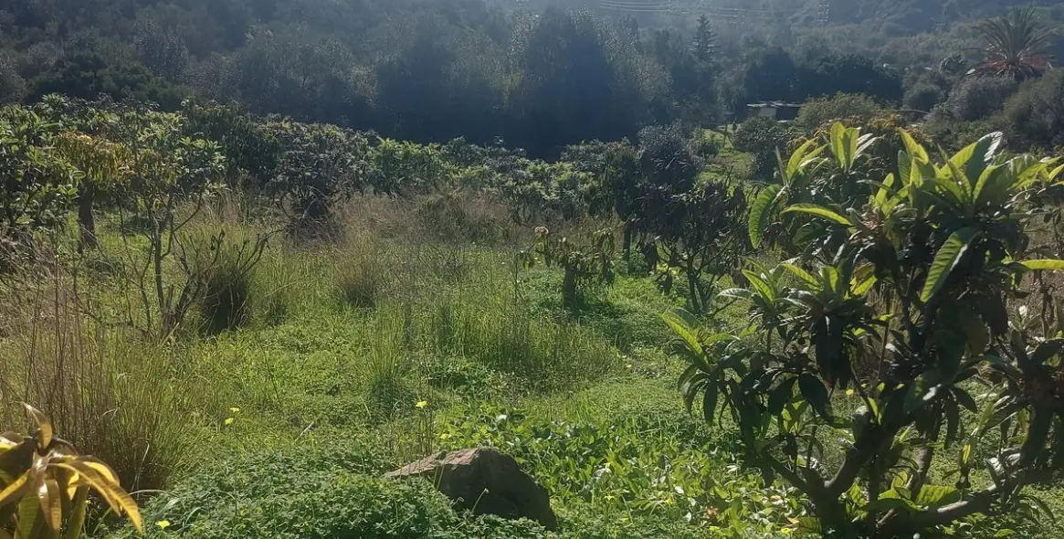 Продажа финки в Estepona 17