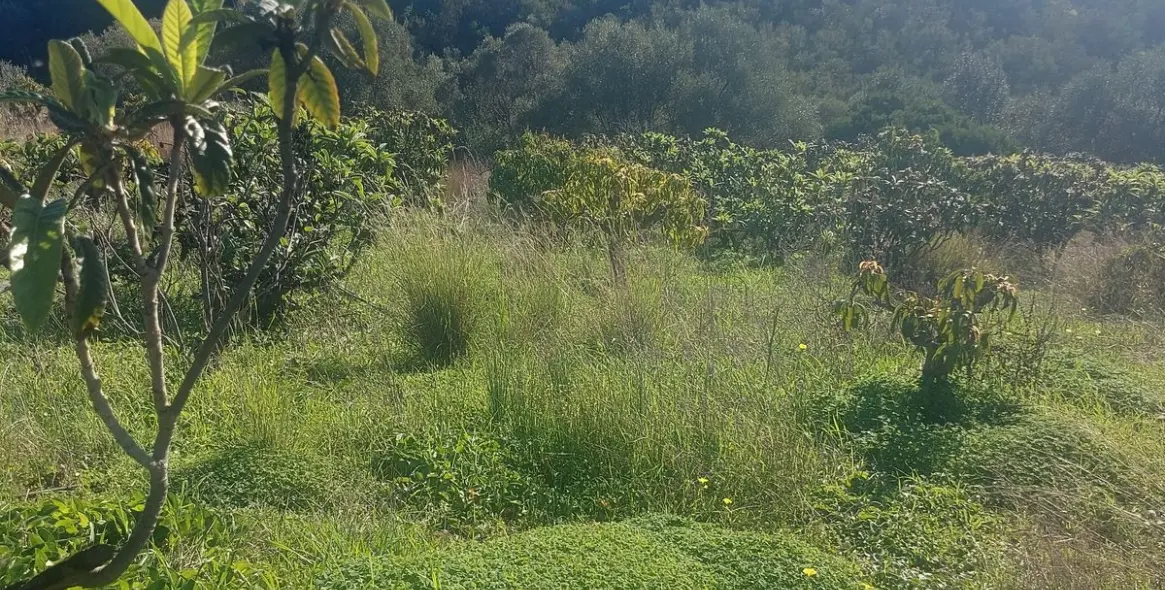 Продажа финки в Estepona 20