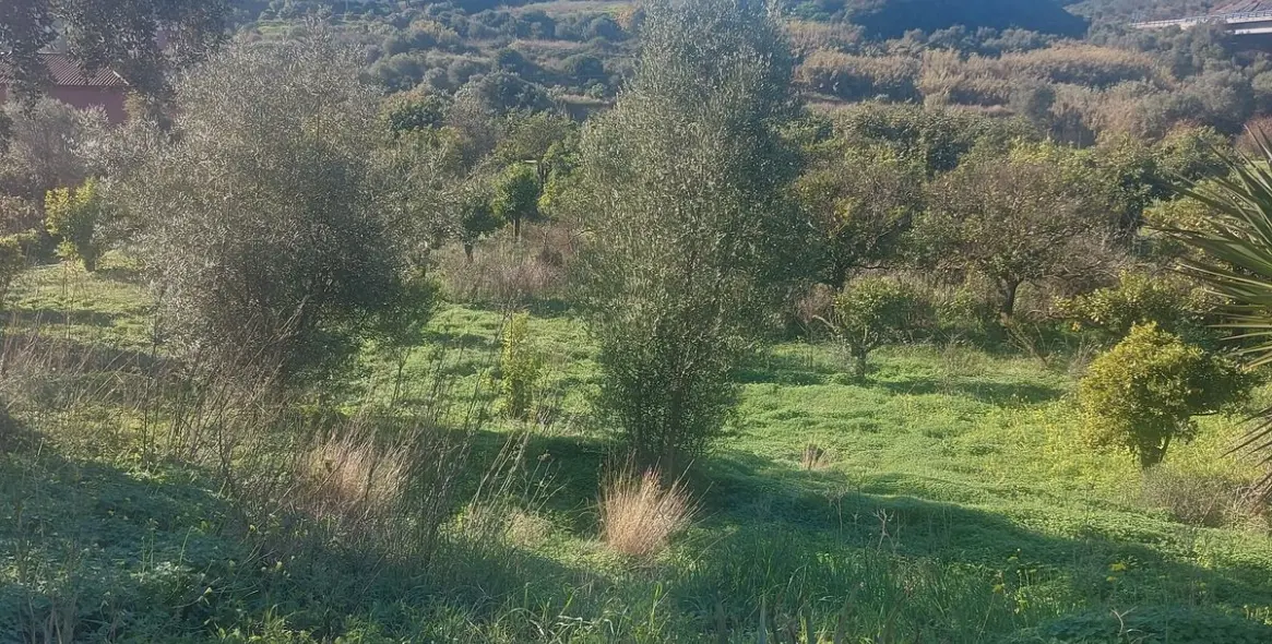 Sale of finca - cortijo in Estepona 2