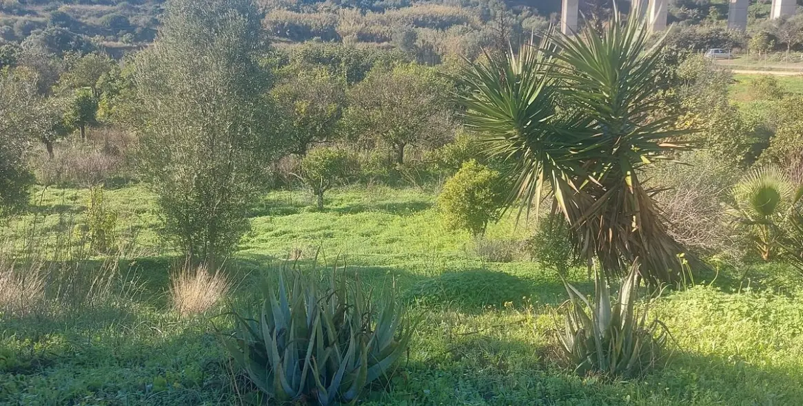 Sale of finca - cortijo in Estepona 3