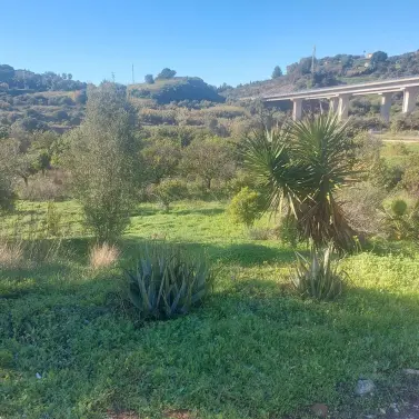 Sale of finca - cortijo in Estepona