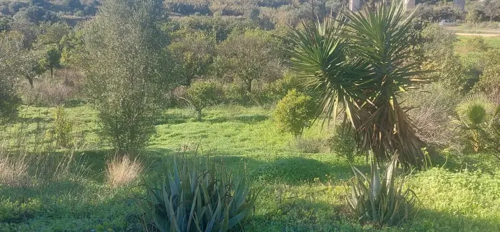 Sale of finca - cortijo in Estepona 2