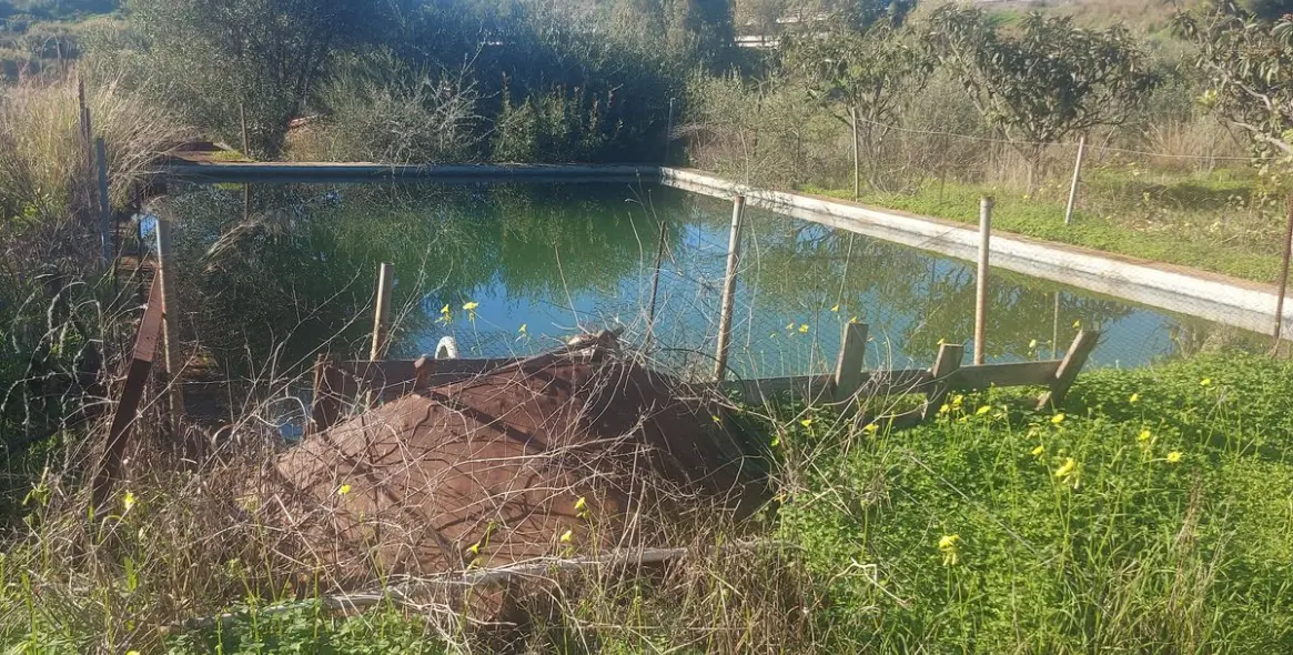 Sale of finca - cortijo in Estepona 9