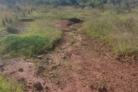 Image 12 thumb