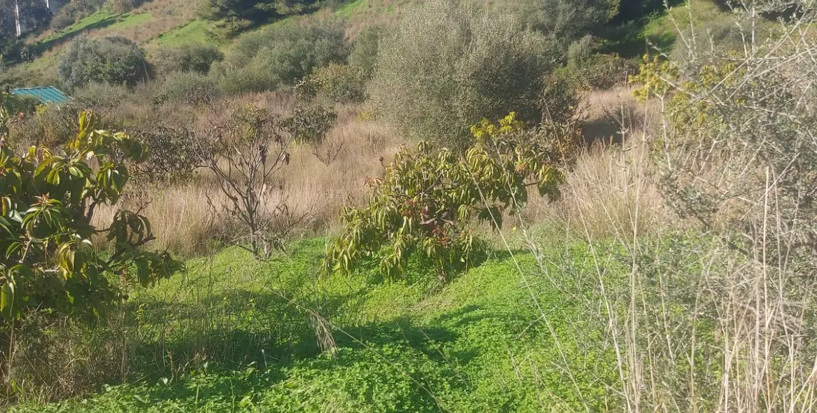 Sale of finca - cortijo in Estepona 18