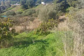 Image 18 thumb