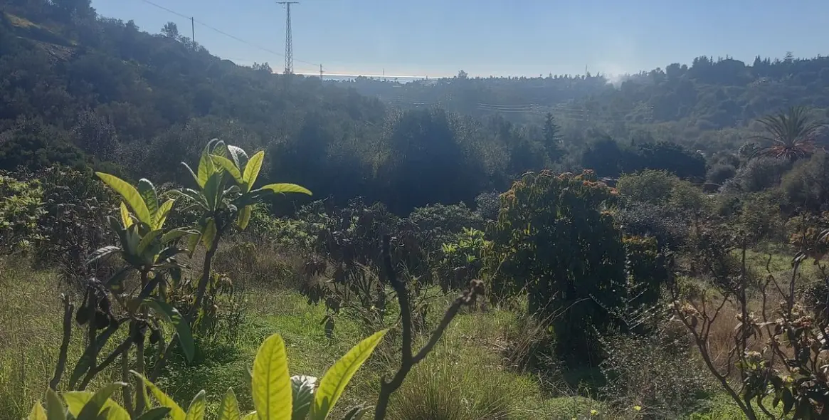 Sale of finca - cortijo in Estepona 19