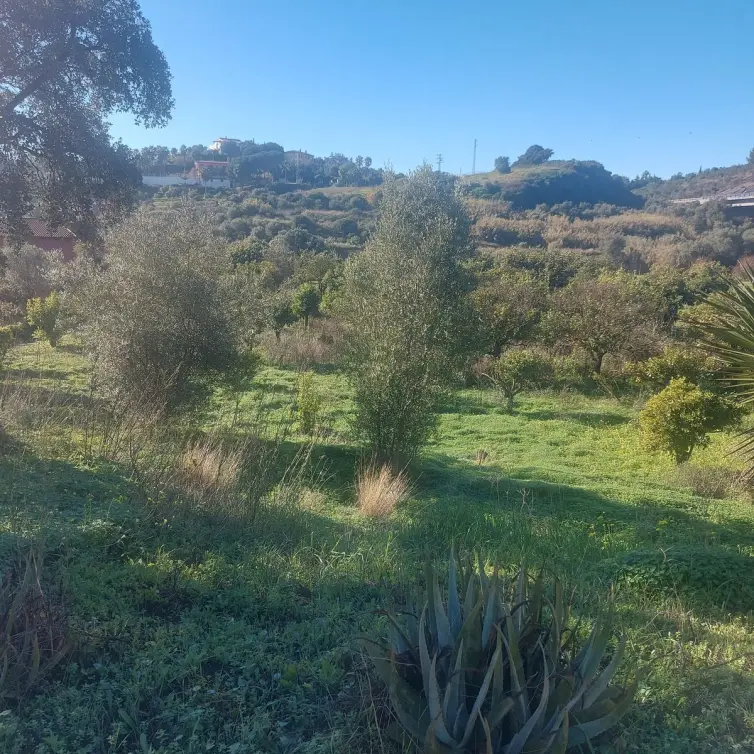 Sale of finca - cortijo in Estepona
