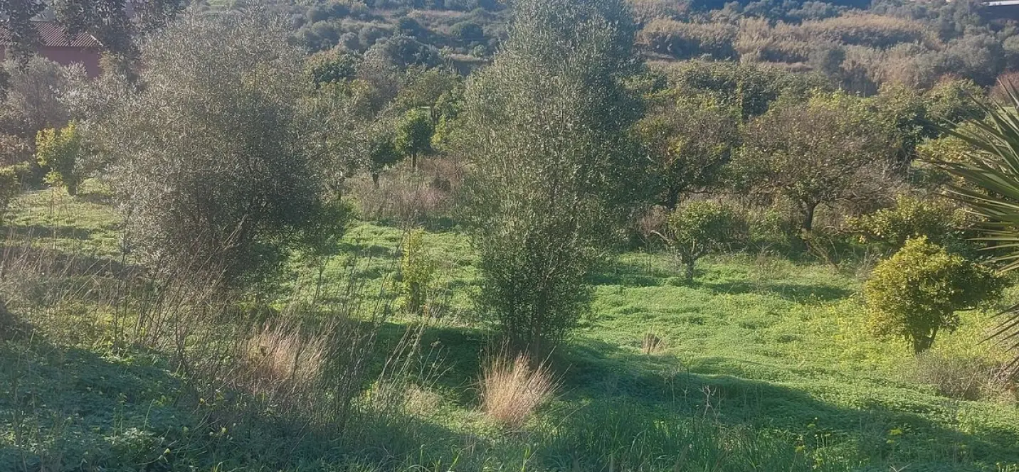 Sale of finca - cortijo in Estepona 1