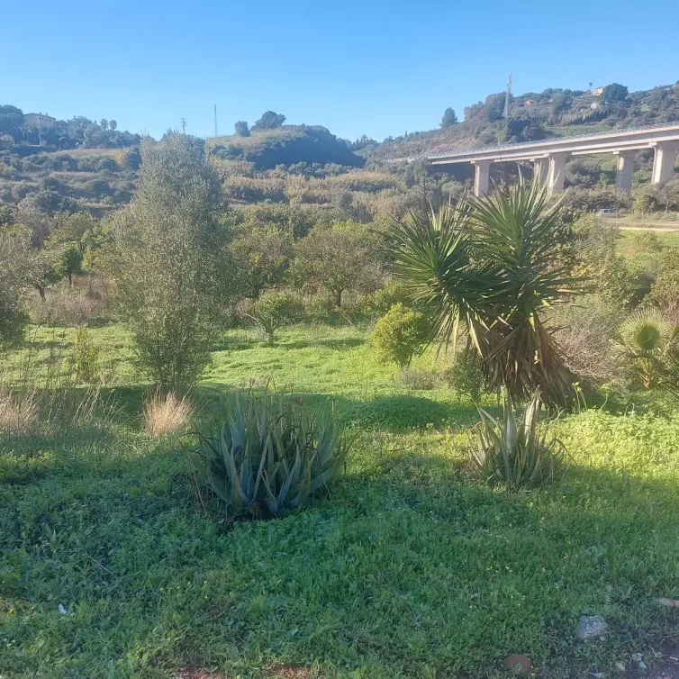 Sale of finca - cortijo in Estepona
