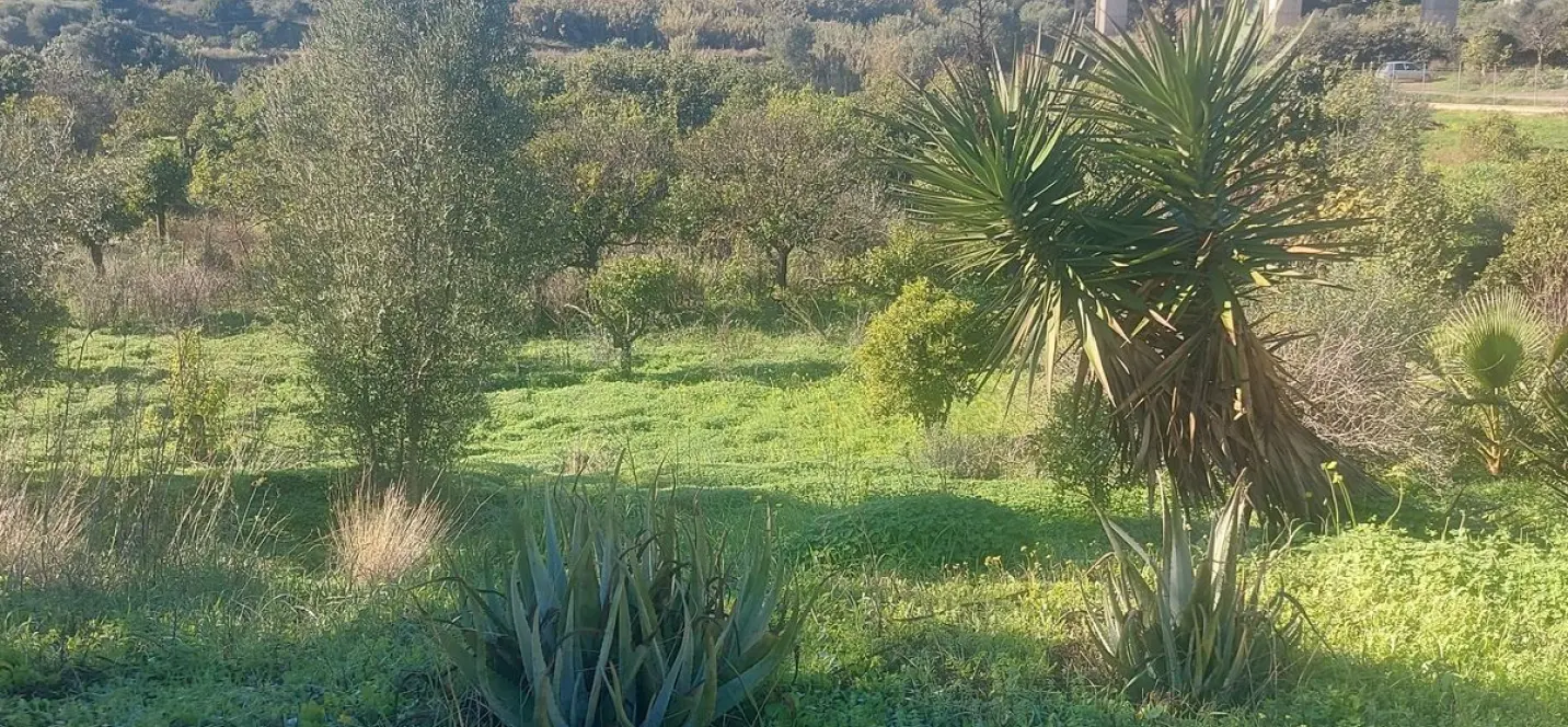 Sale of finca - cortijo in Estepona 2