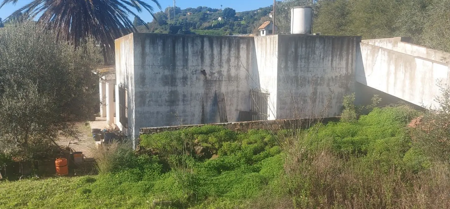 Sale of finca - cortijo in Estepona 3