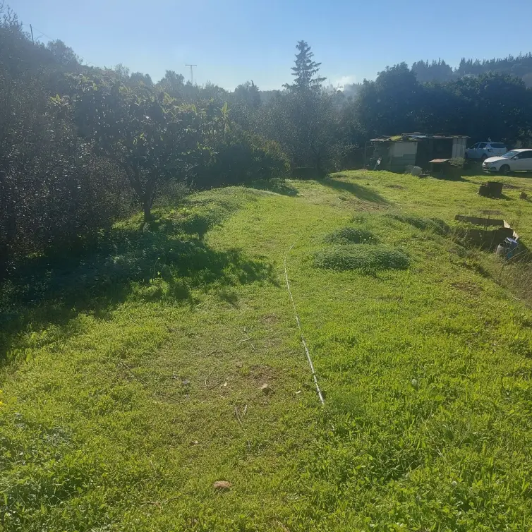 Sale of finca - cortijo in Estepona