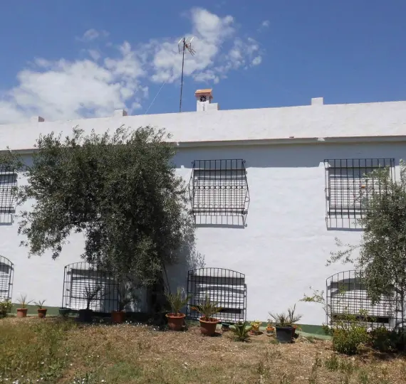 Sale of detached villa in Tolox
