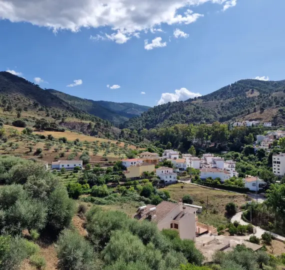 Sale of detached villa in Tolox