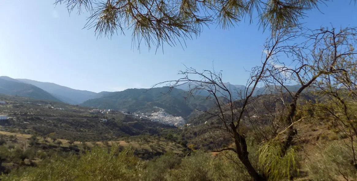 Продажа  отдельно стоящей виллы в Tolox 33