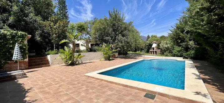 Sale of detached villa in Estepona 0