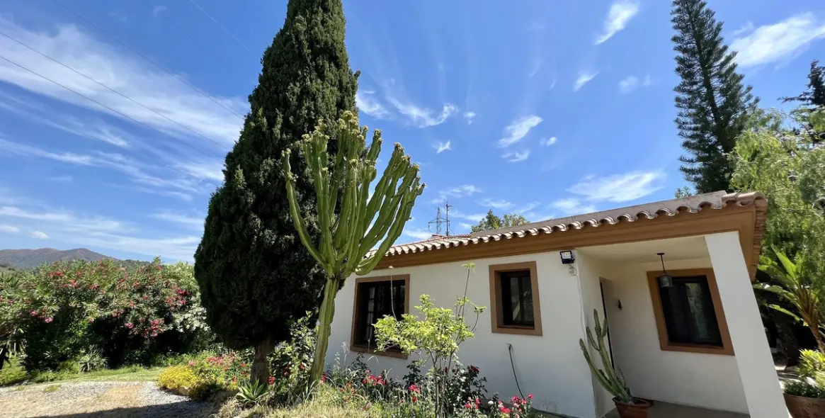 Sale of detached villa in Estepona 2