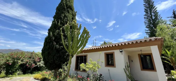 Sale of detached villa in Estepona 1